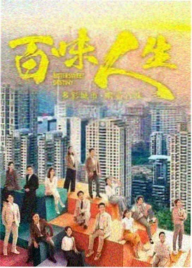 雾港疑云 悬疑剧免费网站在线观看